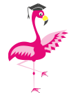 Flavio Flamingo